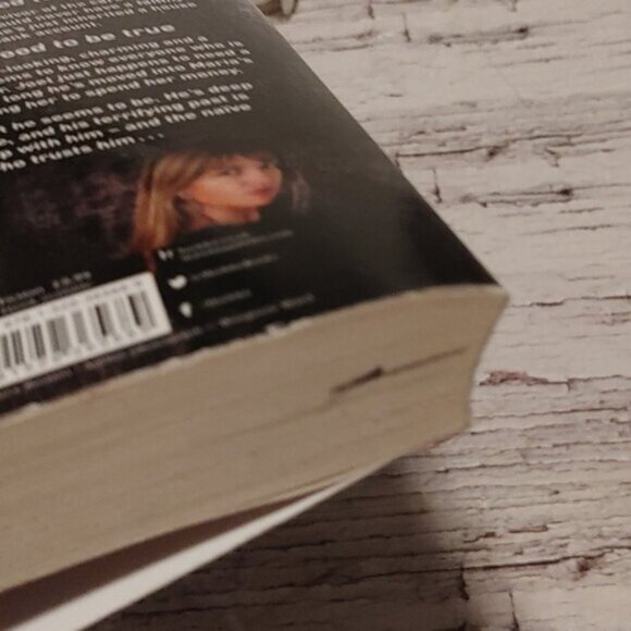 3/$13 The Charmer by Mandasue Heller adult fiction novel book - Picture 5 of 5